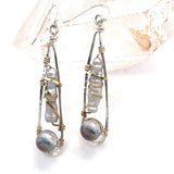 Mollusk Earrings E81064