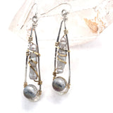 Mollusk Earrings E81064